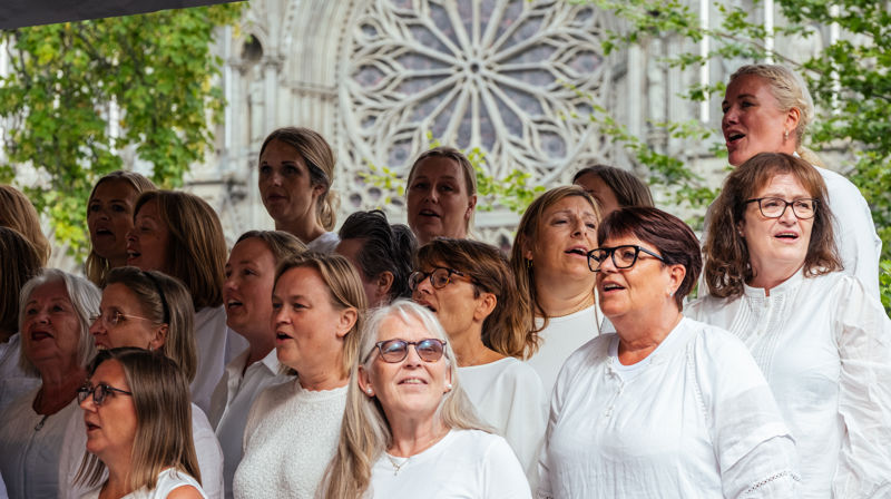 Kirkehagen, Nidarosdomen og Vår Frue kirke under Olavsfest