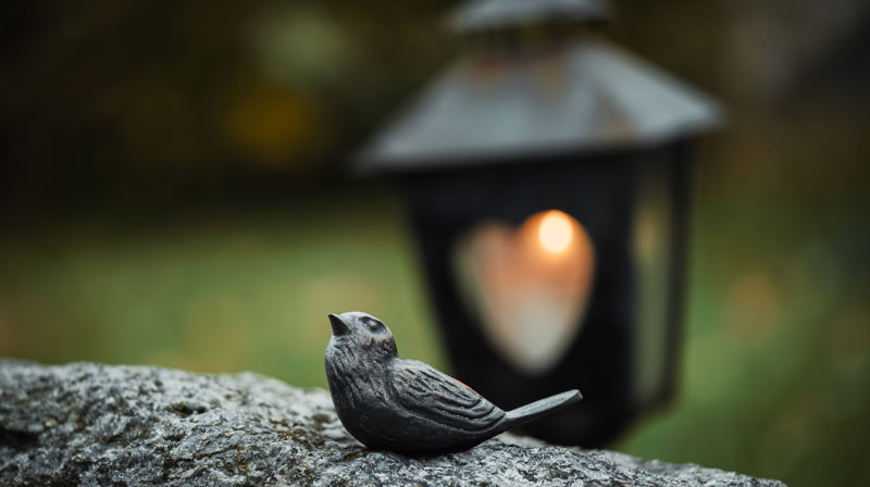 Allehelgen lørdag i Groruddalen!