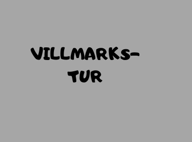 Villmarkstur