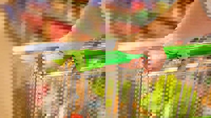 Tilskudd til barnefamilier i en vanskelig økonomisk situasjon