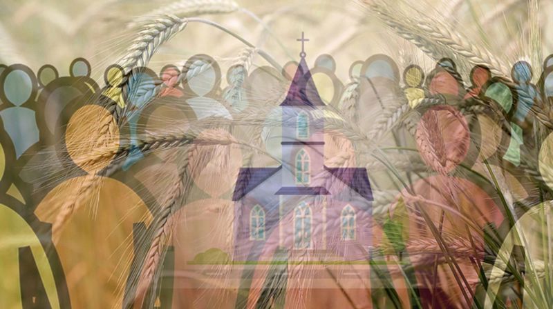 Nidaros såkornfond 2025: Har du små eller store planer?