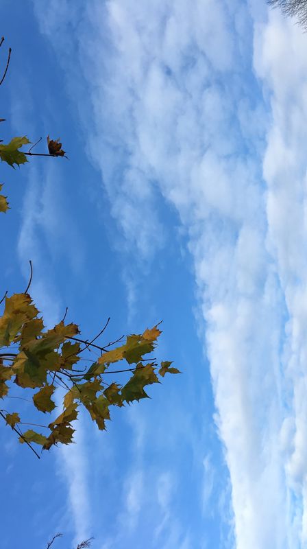 Temakveld Tirsdag 22 sept.kl.19.00 - Hvordan står det til med kirken?