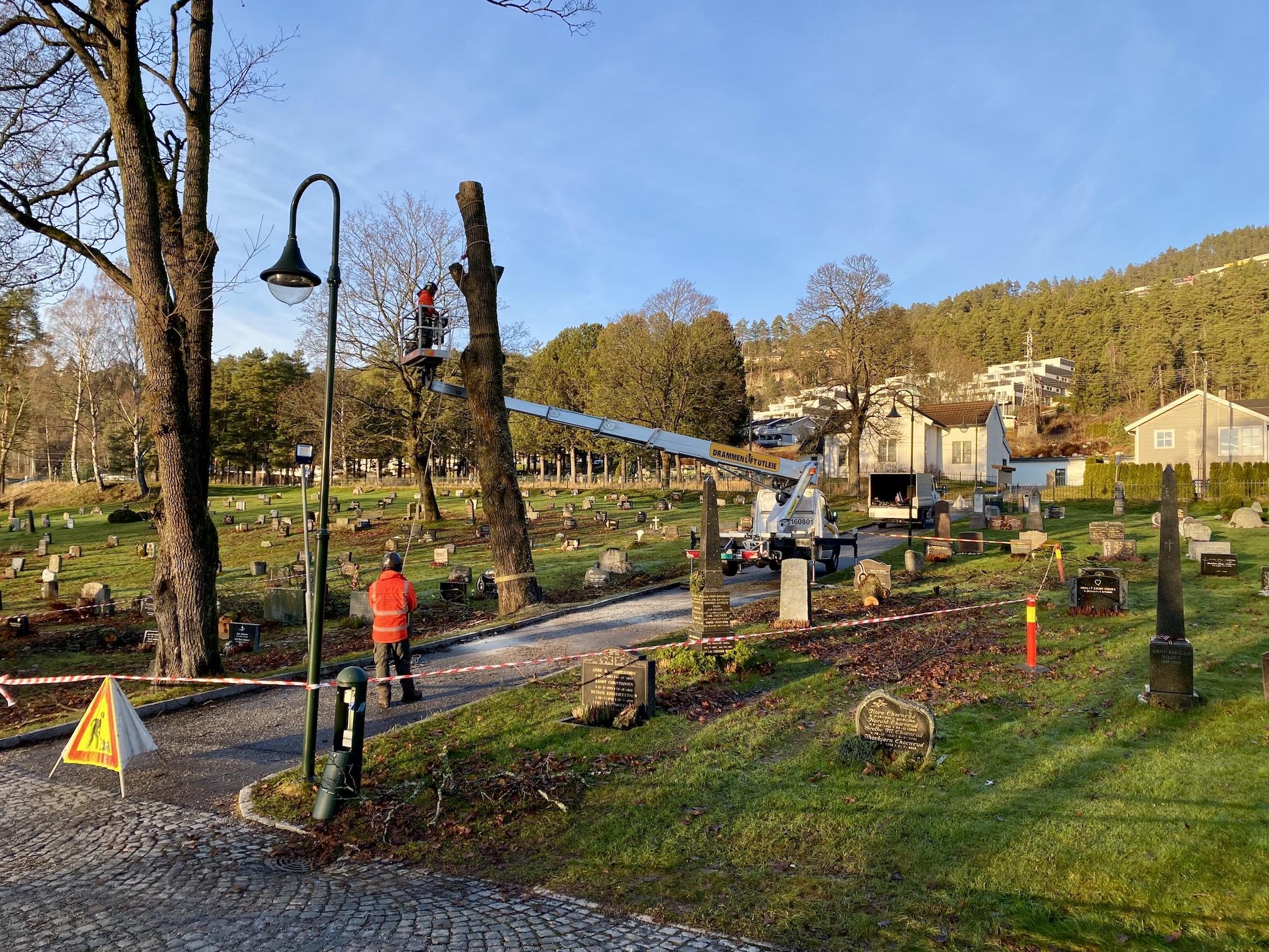 Trefelling på kirkegården