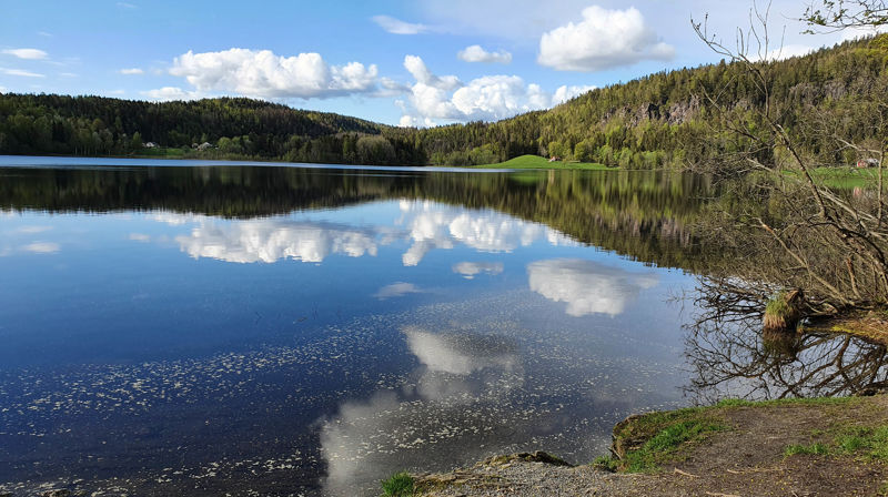Landskapsbilde Semsvann. Fotograf: Norunn Edvardsen.