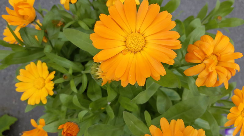 Diakoniplanen for Bodin menighet