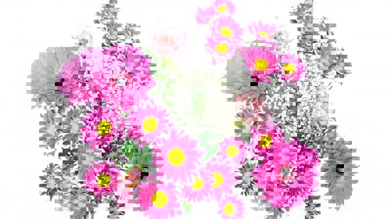 Påmelding til konfirmantjubileum 2026