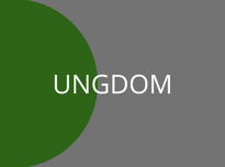 UNGDOM