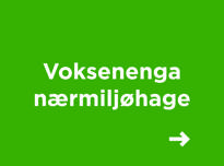 Voksenenga nærmiljøhage