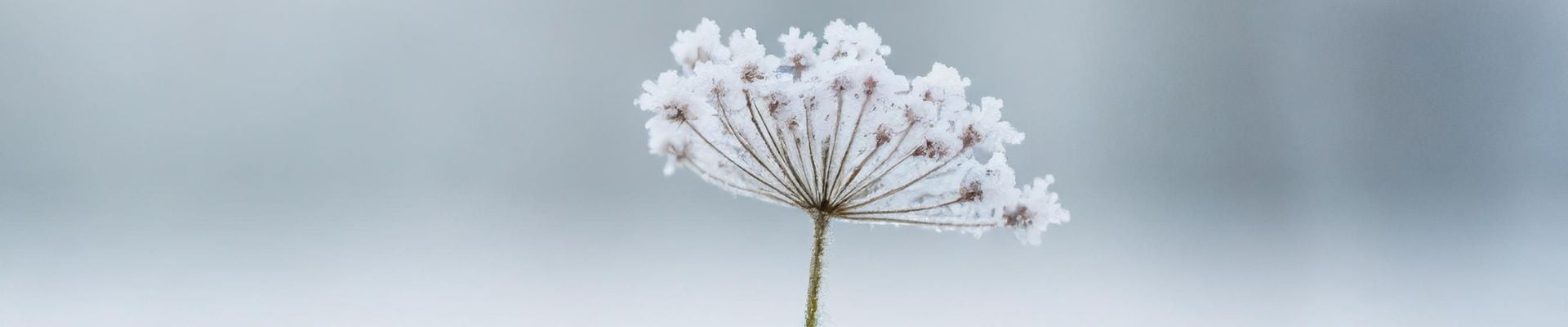 Toppbilde for Grorud menighet