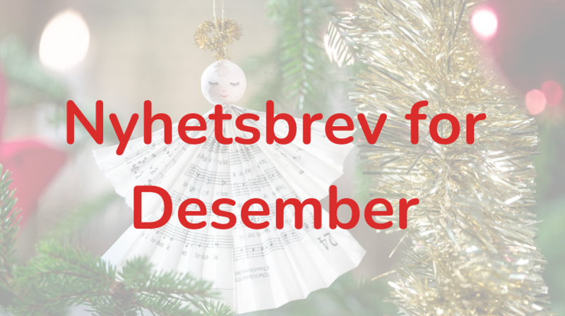 Nyhetsbrev for Desember 2024