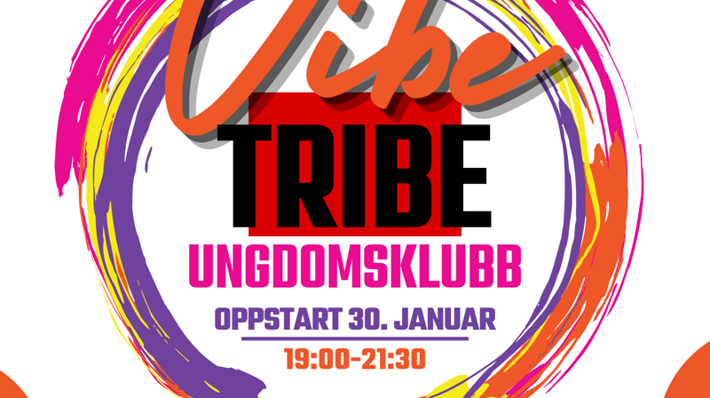 VibeTribe