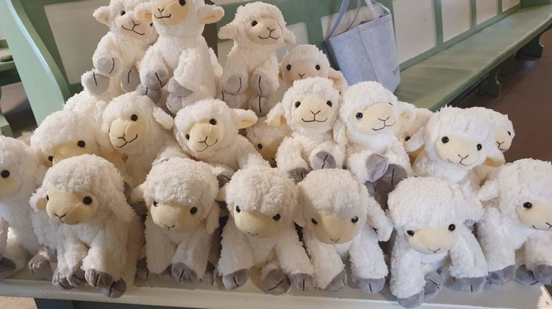 Mange Krøllebamser som venter på å bli delt ut.