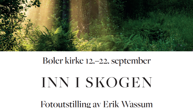 Utstilling Erik Wassum