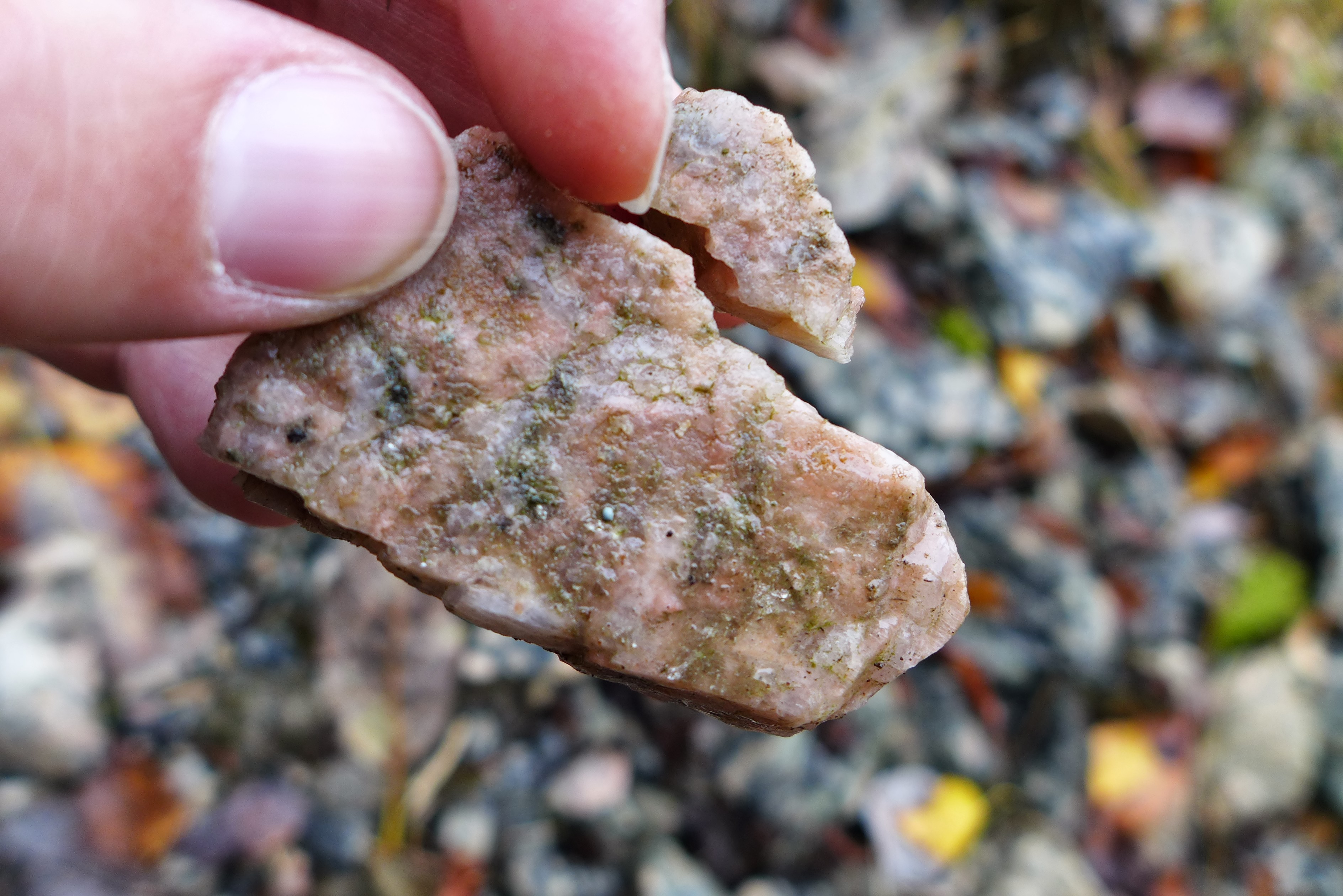 Om kampanjen: Diakoni på trikker og busser