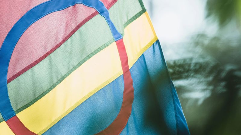Det samiske flagget