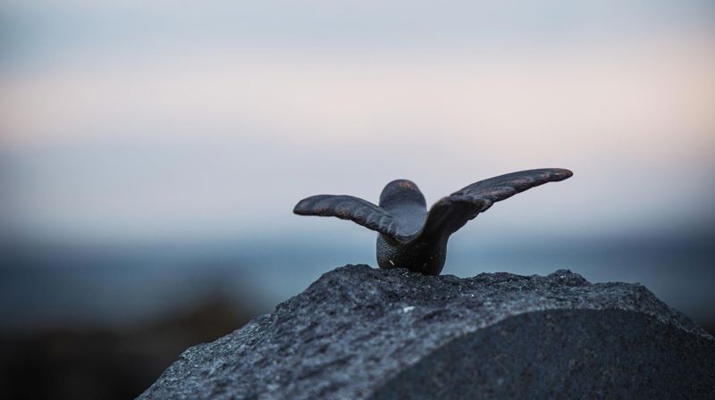 Endring av fester/ sletting av grav