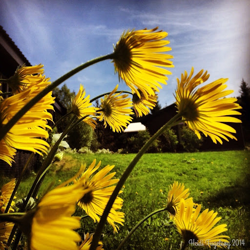 Sommerens gudstjenester
