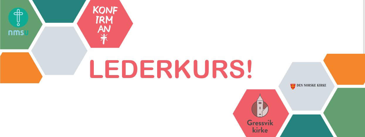 Lederkurs for ungdom