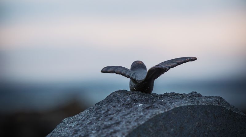 Allehelgen i Oslo domkirke
