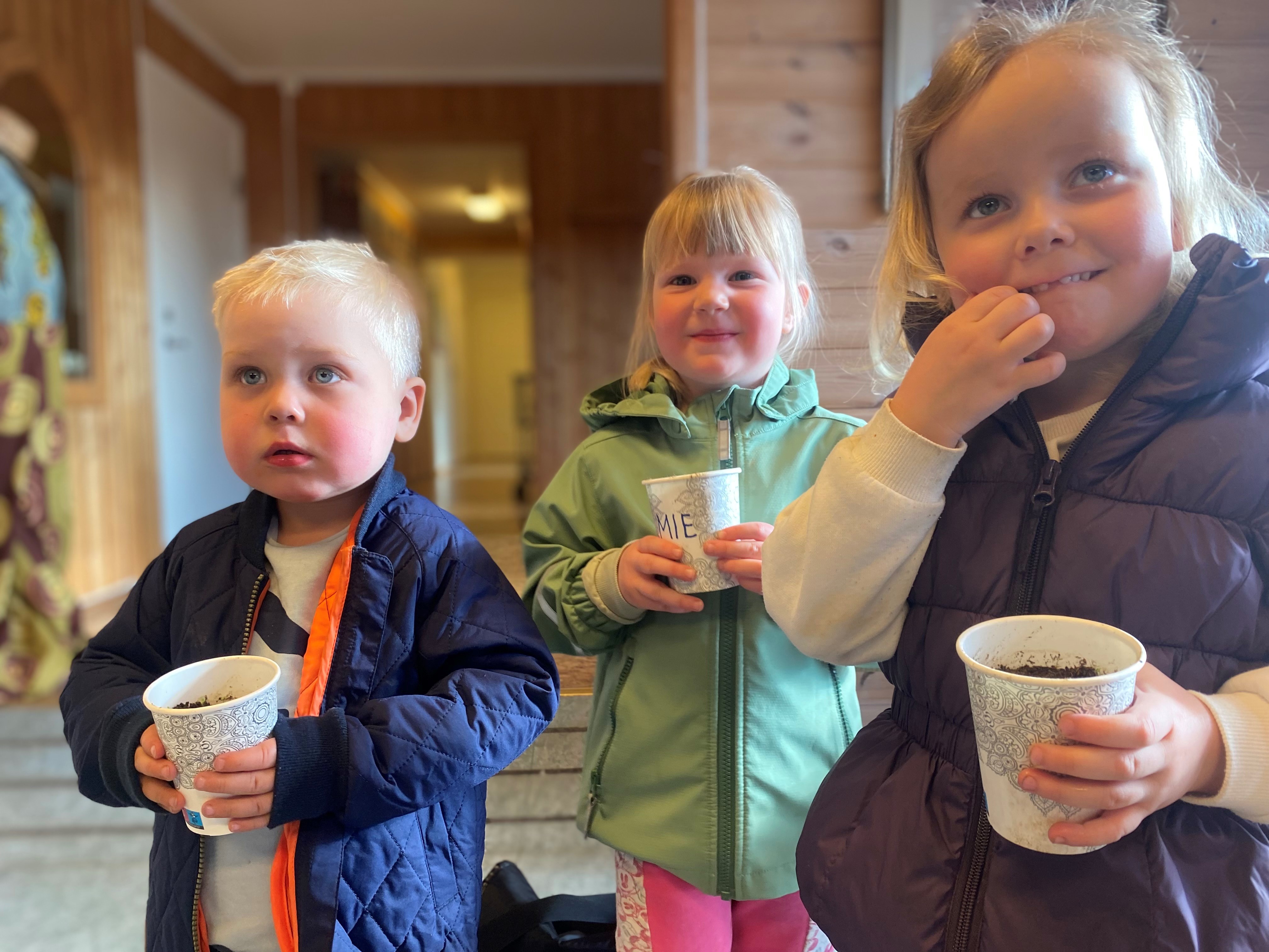 Et Under i en liten kopp; Barna har sådd solsikker av frøene fra i fjor, og venter spent på at de skal vokse frem. 