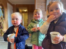 Et Under i en liten kopp; Barna har sådd solsikker av frøene fra i fjor, og venter spent på at de skal vokse frem. 