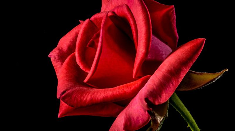 Konfirmasjonspåmelding våren 2025