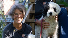 Studentene ved USN i Vestfold kan velge om de ønsker å bestille time med studentprest Pernille Astrup eller om de også vil ha med studentpresthunden Bambus.