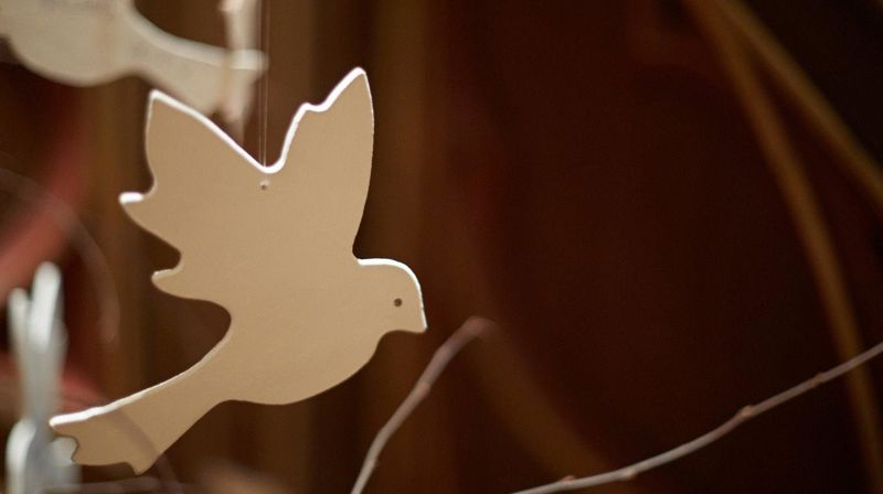 Håpsdue. Foto: Lars Verket.