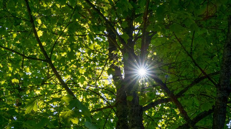Folkekirkens omfattende omsorgstjeneste