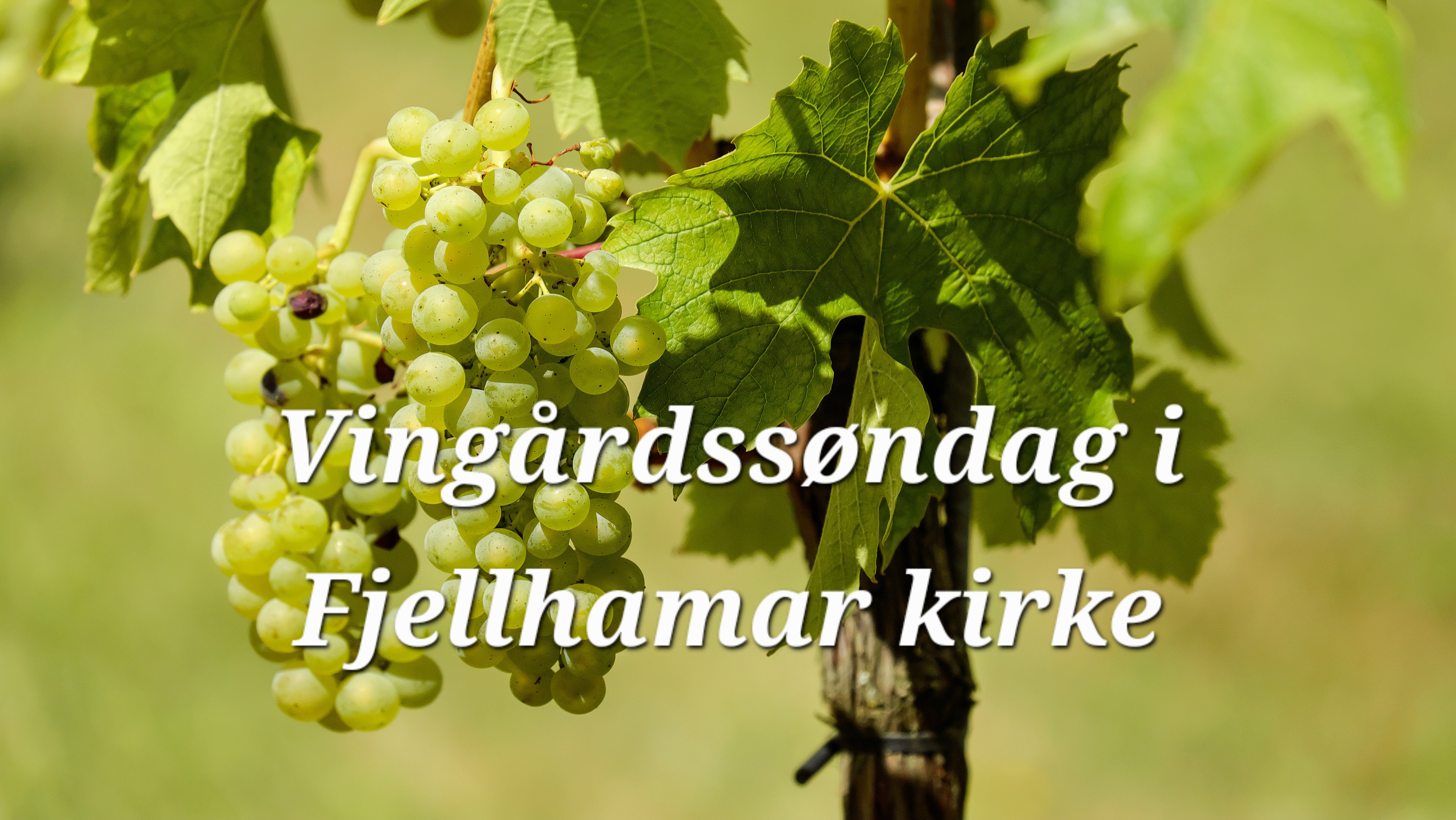 Velkommen til gudstjeneste (G3) søndag 30. august kl 12