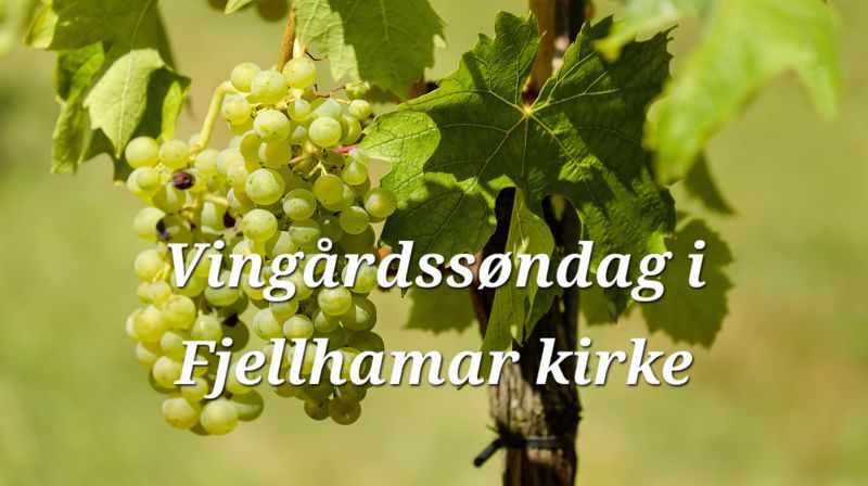 Velkommen til gudstjeneste (G3) søndag 30. august kl 12