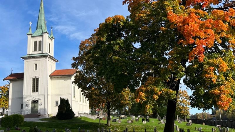 Foto: Anne Aannestad