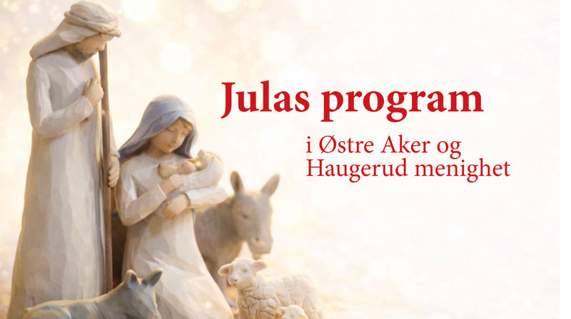 Julas program