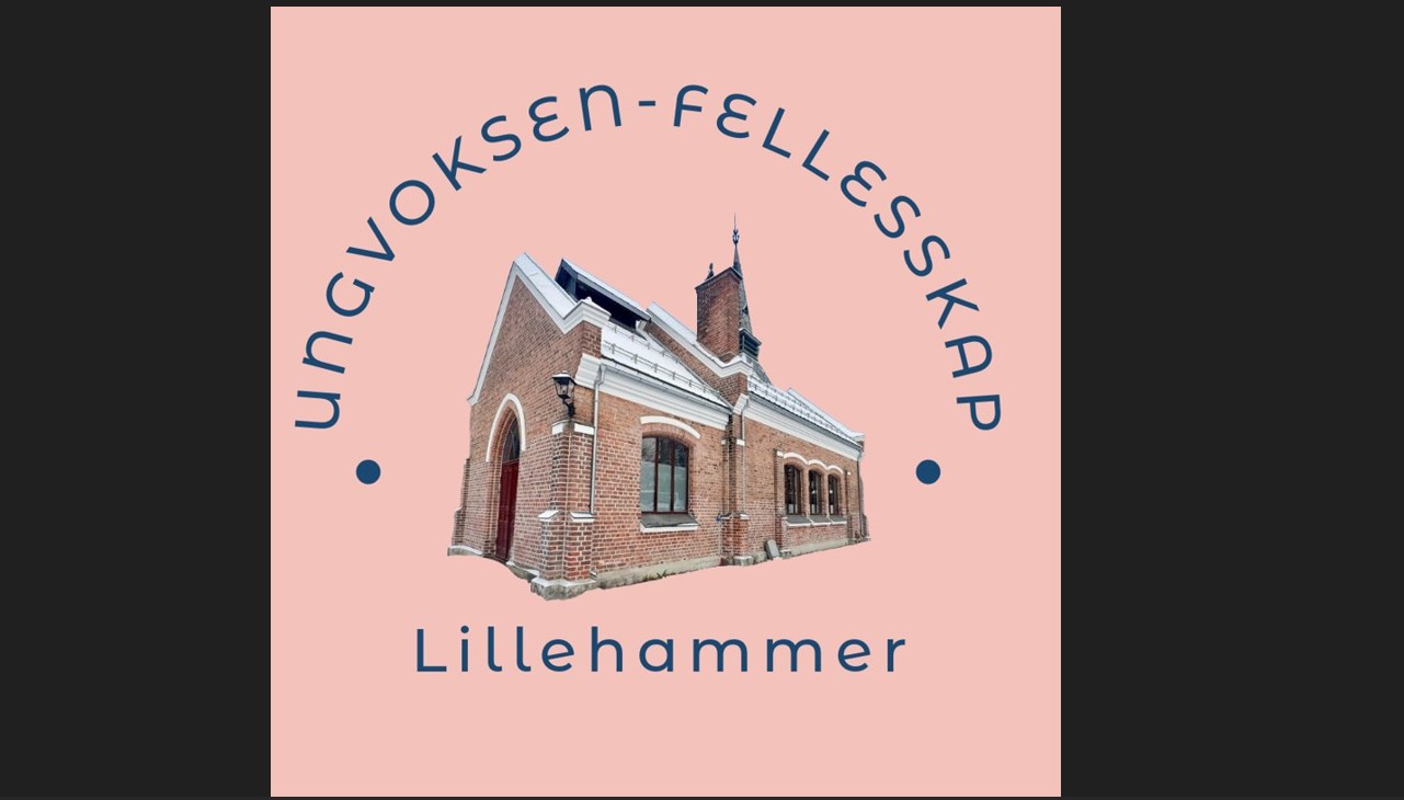 Åpen lesesal