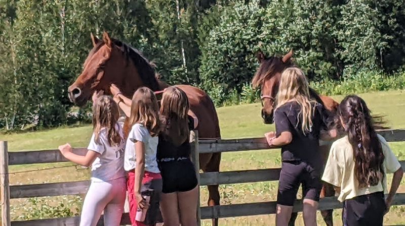 Ferieklubben på gårdsbesøk i 2023. Foto: Lasse Rasmussen Moskvil.