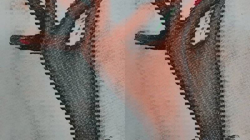 Korkonsert med Rosenhof-koret i Stovner kirke 20 mai kl.19.30