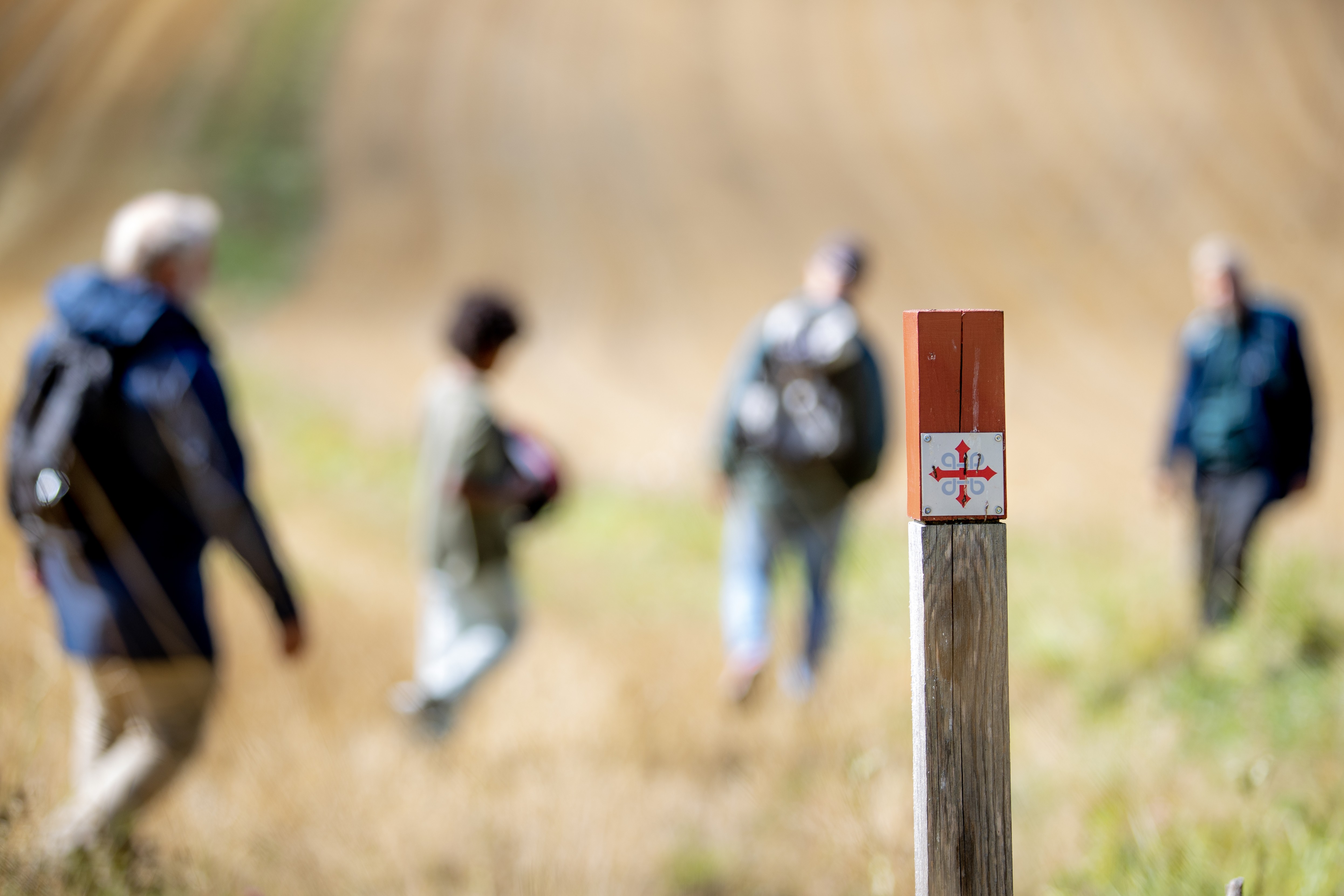 Pilegrimstur – foto Bo Mathisen