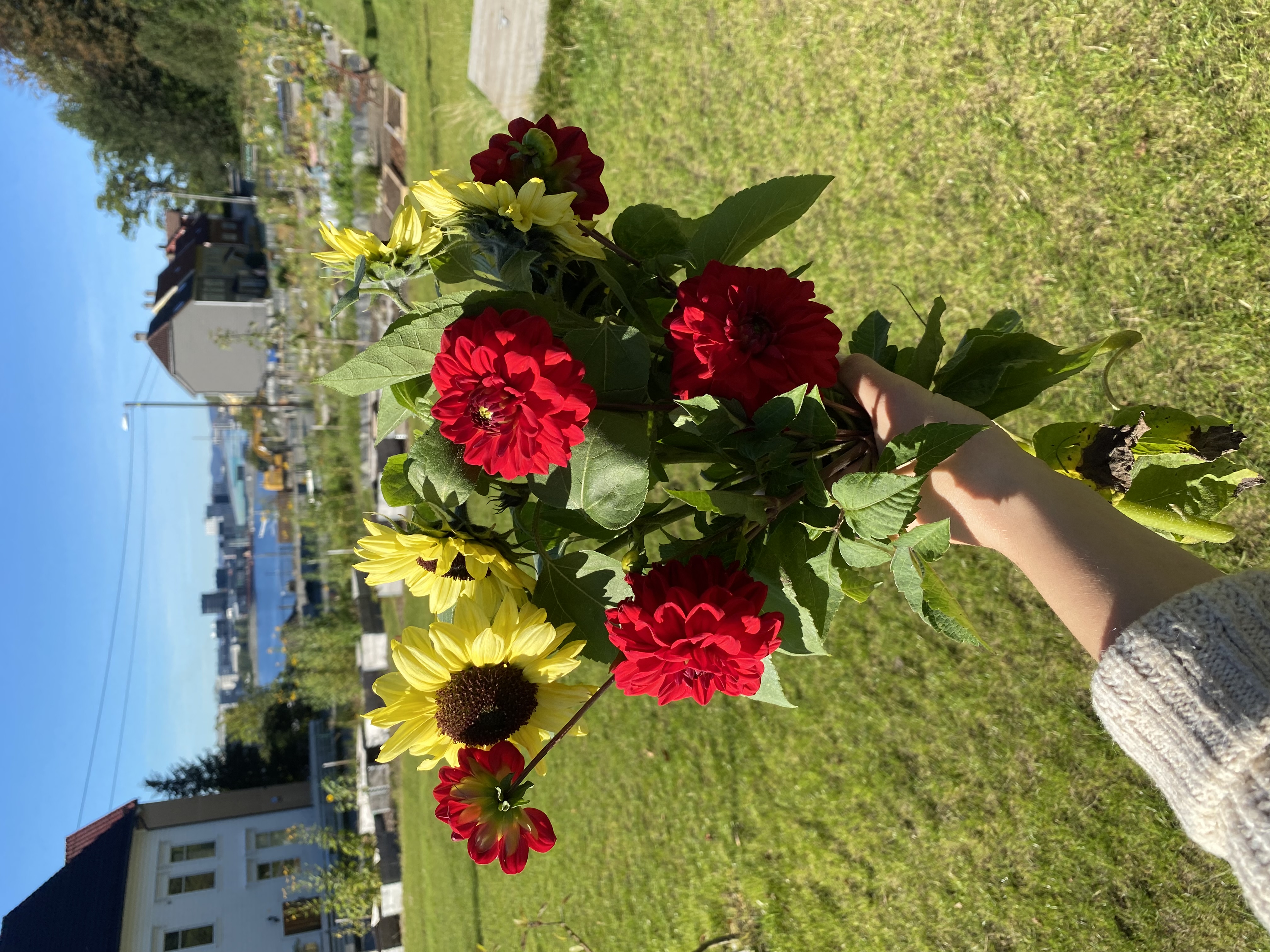 Parsellhage i Fløen parsellag