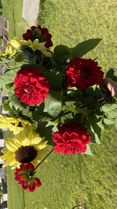 Parsellhage i Fløen parsellag