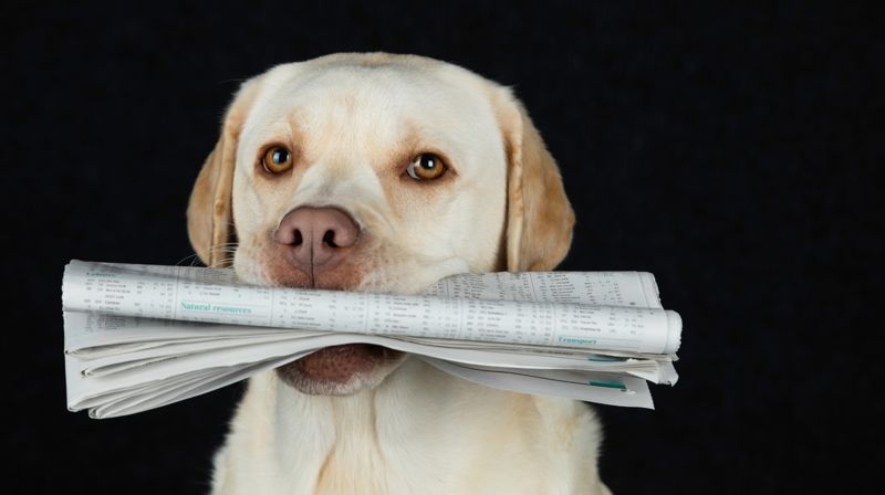 Ledige oppgaver i Tonsen