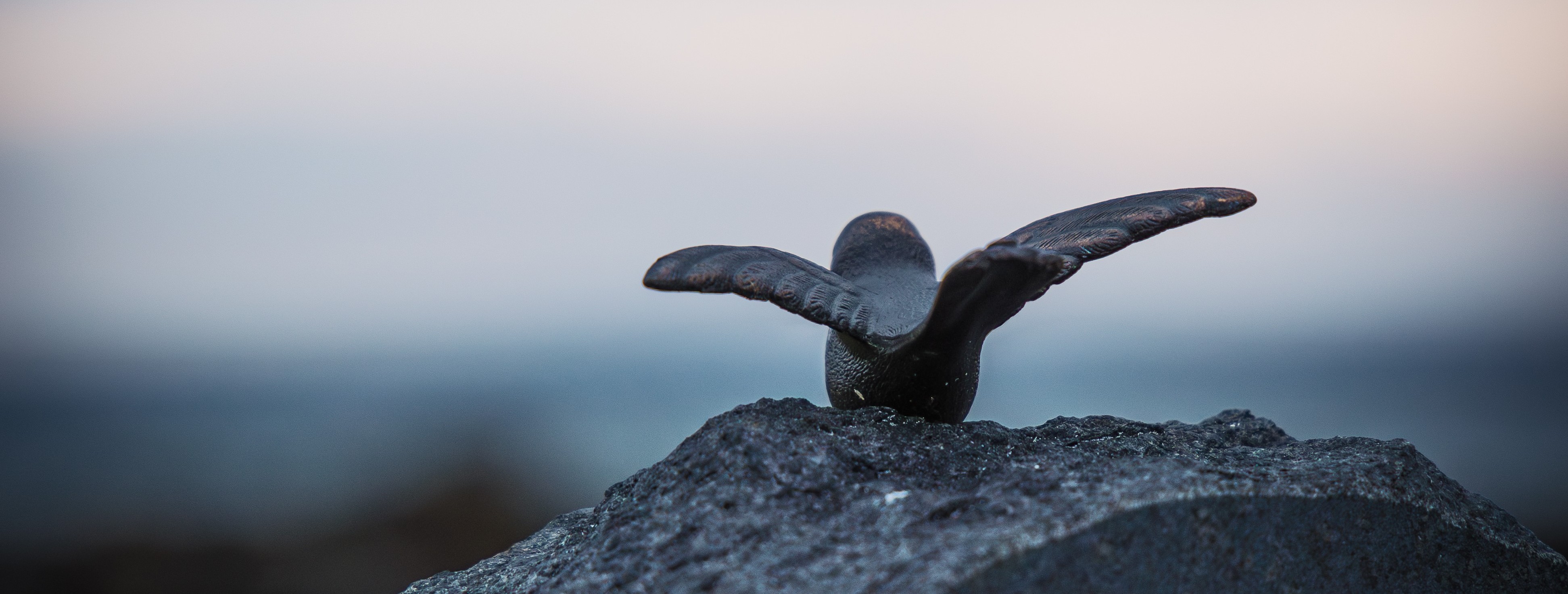 Toppbilde for Oslo domkirke