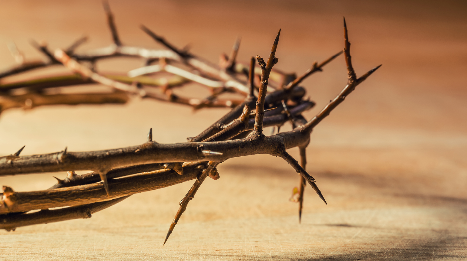 Eksempelbilde: Adobe Stock