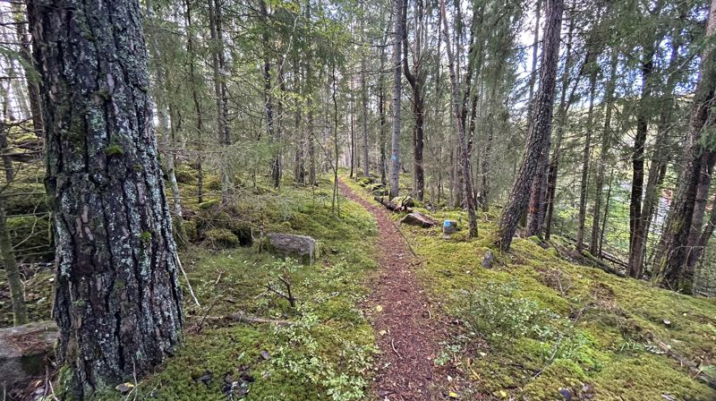 Organisering av pilegrimsarbeidet i Asker