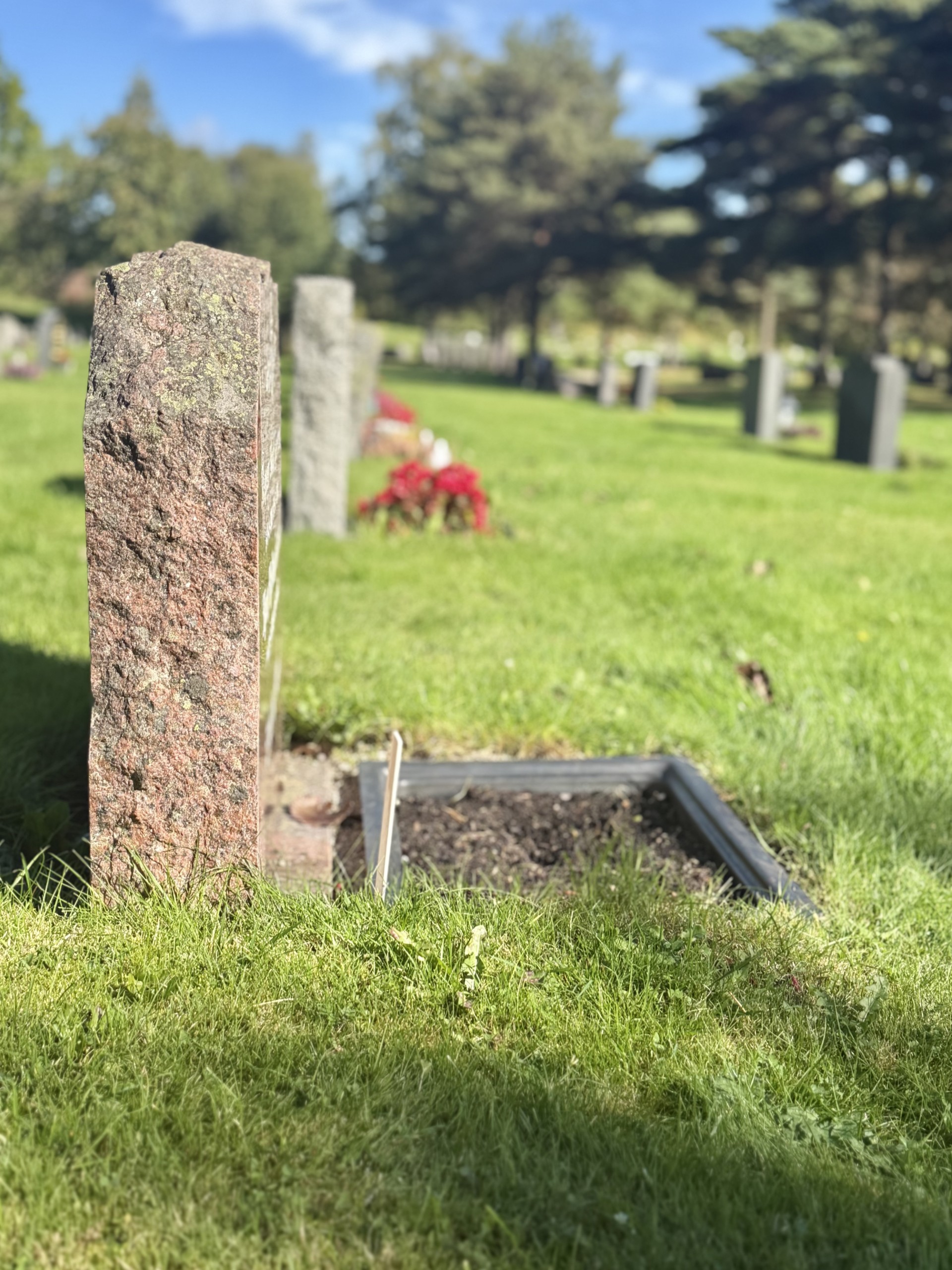 Hvorfor fjernes blomstene fra gravene nå?