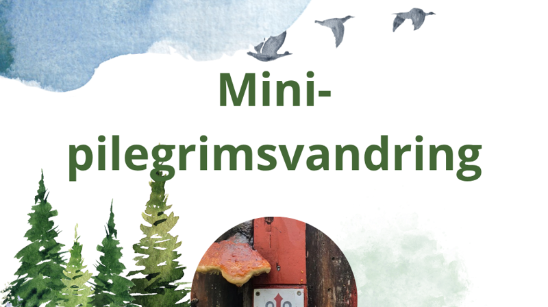 Mini-pilegrimsvandring