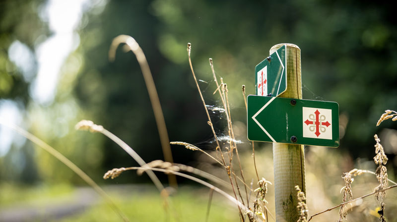 Bli med på pilegrimsvandring – og opplev Nordbys historie på veien! 🌿👣