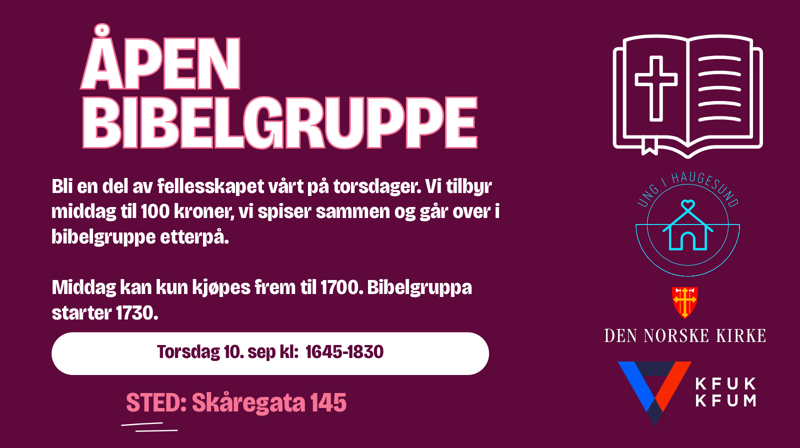 Bibelgruppe for unge vaksne