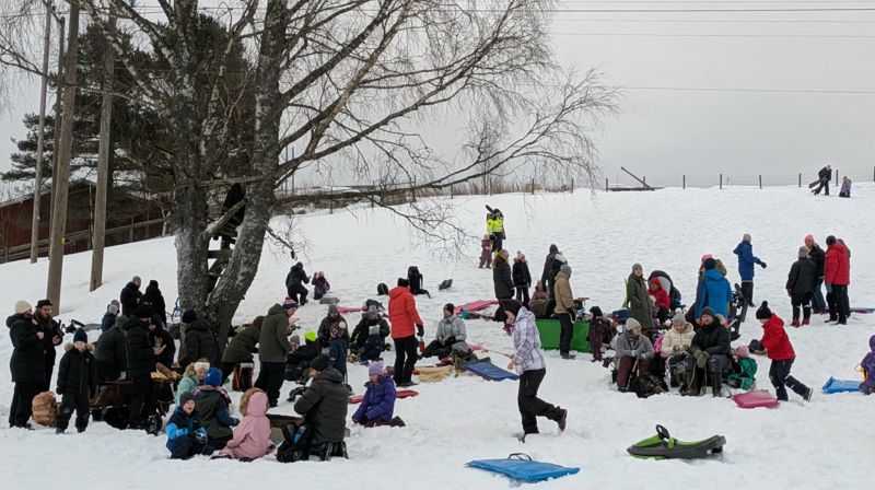 Mogreina vinterfestival