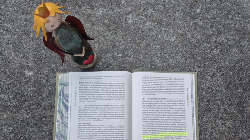 Vi leser Bibelen sammen