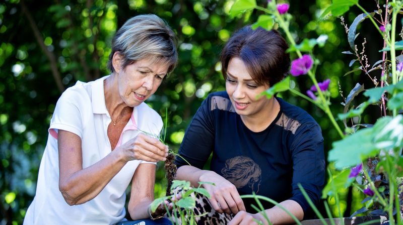 I 2022 fikk Den norske kirke ekstra bevilgninger fra staten. De ble blant annet brukt på å lage måltider, sommerleir og folkedans. Illustrasjonsfoto: Bo Mathisen / Den norske kirke.